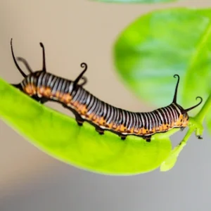 Preps Academy - Biology